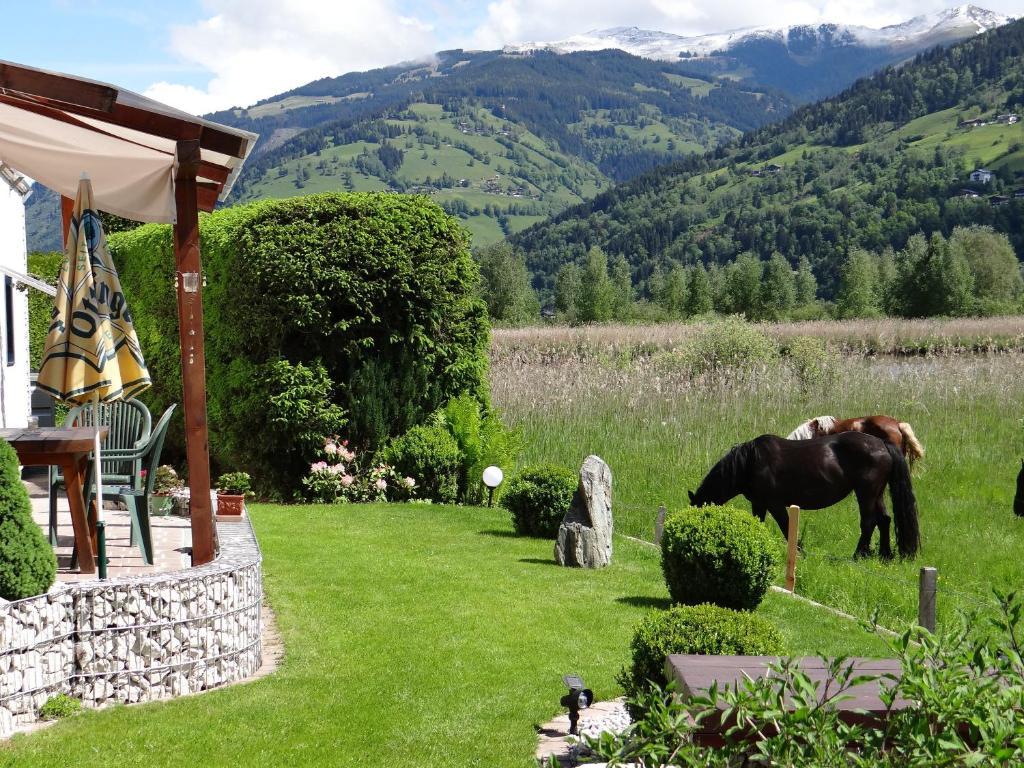 Appartement Plattner Zell am See Eksteriør billede