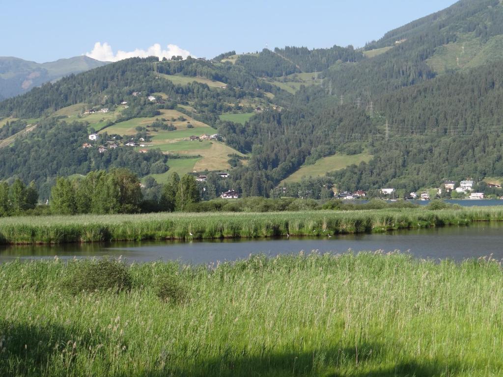Appartement Plattner Zell am See Eksteriør billede